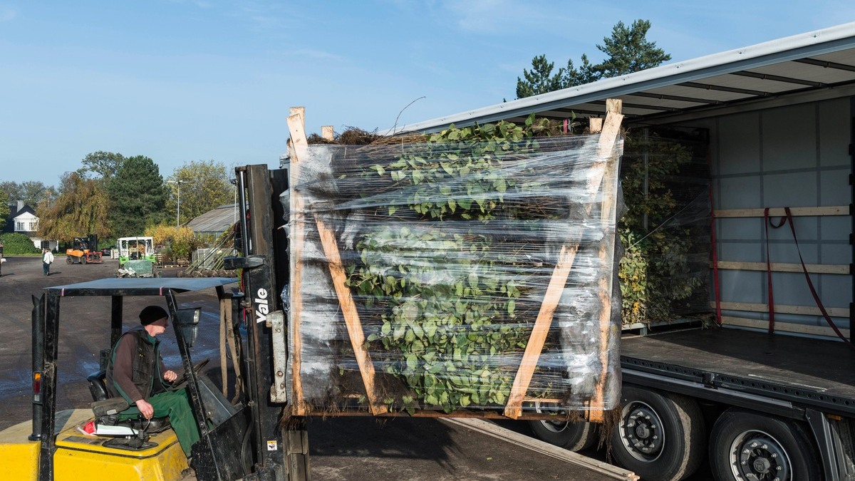 Bund deutscher Baumschulen (BdB) e.V.: Iran-Konflikt treibt Spritpreise - Baumschulen spüren drastische Anstieg bei Frachtkosten - Foto: presseportal.de