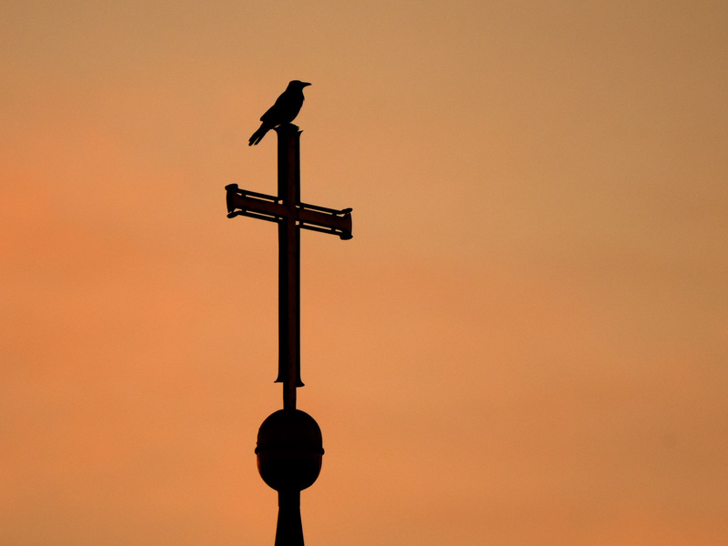 Der Fall einer Caritas-Mitarbeiterin beschäftigt das höchste europäische Gericht. (Archivbild) - Foto: Julian Stratenschulte/dpa