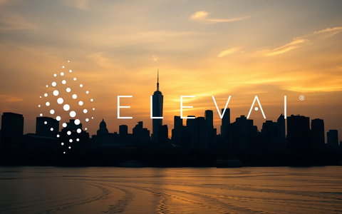 PMGC Aktie: Kapitalmanagement entscheidend - Foto: über boerse-global.de