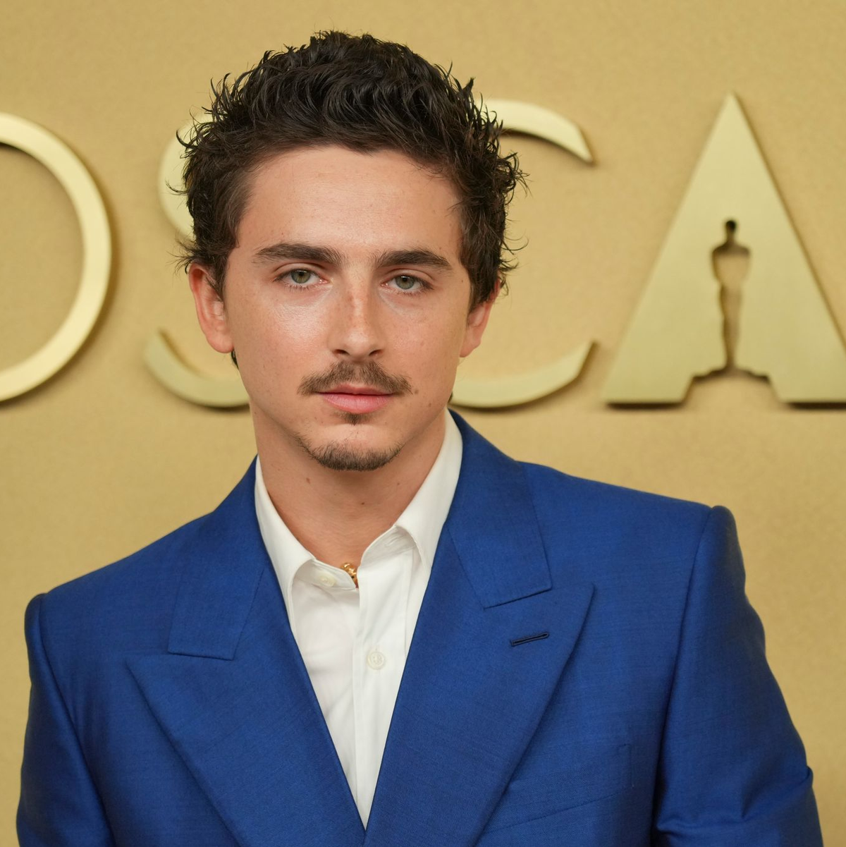 Timothée Chalamet mit Oberlippenbart, über den auch mal gelästert wird, sowie mit Haaren am Kinn. (Archivbild) - Foto: Jordan Strauss/Invision/AP/dpa