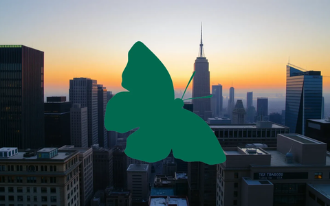 Green Landscaping Aktie: Profitabilitäts-Offensive - Foto: über boerse-global.de