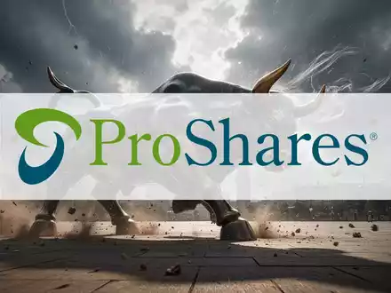 ProShares QID ETF: Bullen-Gegenwind - Foto: über boerse-global.de