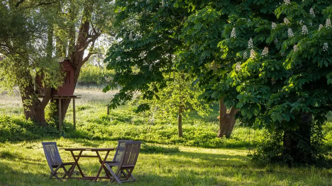 Gartenhaus - Bild: unsplash.com ©Robert Katzki