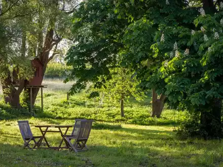 Gartenhaus - Foto: unsplash.com ©Robert Katzki