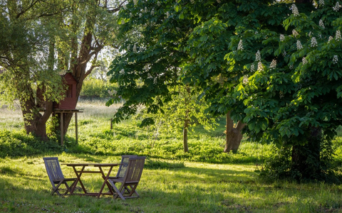 Gartenhaus - Foto: unsplash.com ©Robert Katzki