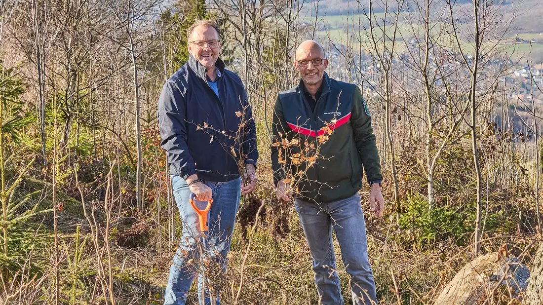 Zum Tag des Waldes: Warum Aufforstung für Krombacher mehr ist als Naturschutz - Bild: presseportal.de