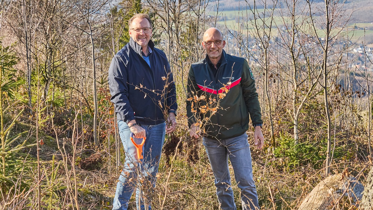 Zum Tag des Waldes: Warum Aufforstung für Krombacher mehr ist als Naturschutz - Foto: presseportal.de