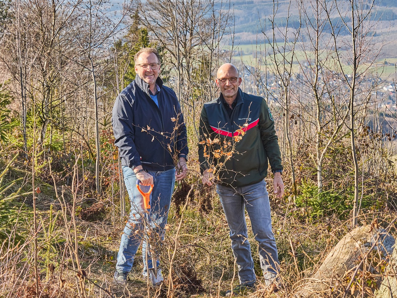 Zum Tag des Waldes: Warum Aufforstung für Krombacher mehr ist als Naturschutz - Foto: presseportal.de