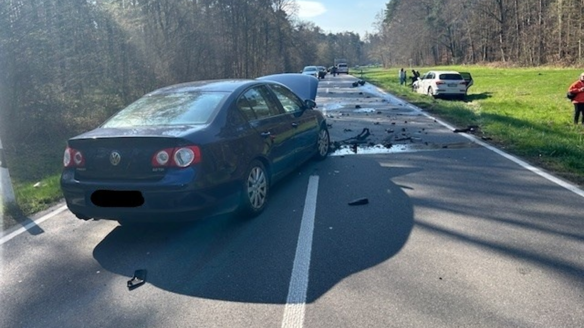 POL-PDLD: Hagenbach - Tödlicher Verkehrsunfall mit 67-jährigem Motorradfahrer - Foto: presseportal.de