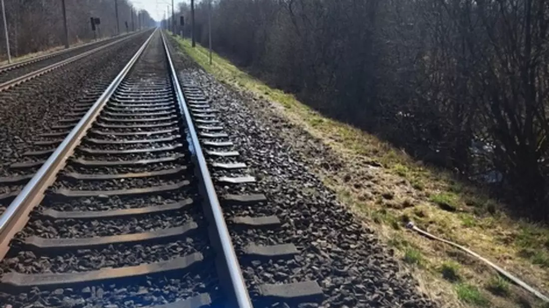BPOL-FL: Böschungsbrände sorgen für Sperrung der Bahnstrecke - Bild: presseportal.de
