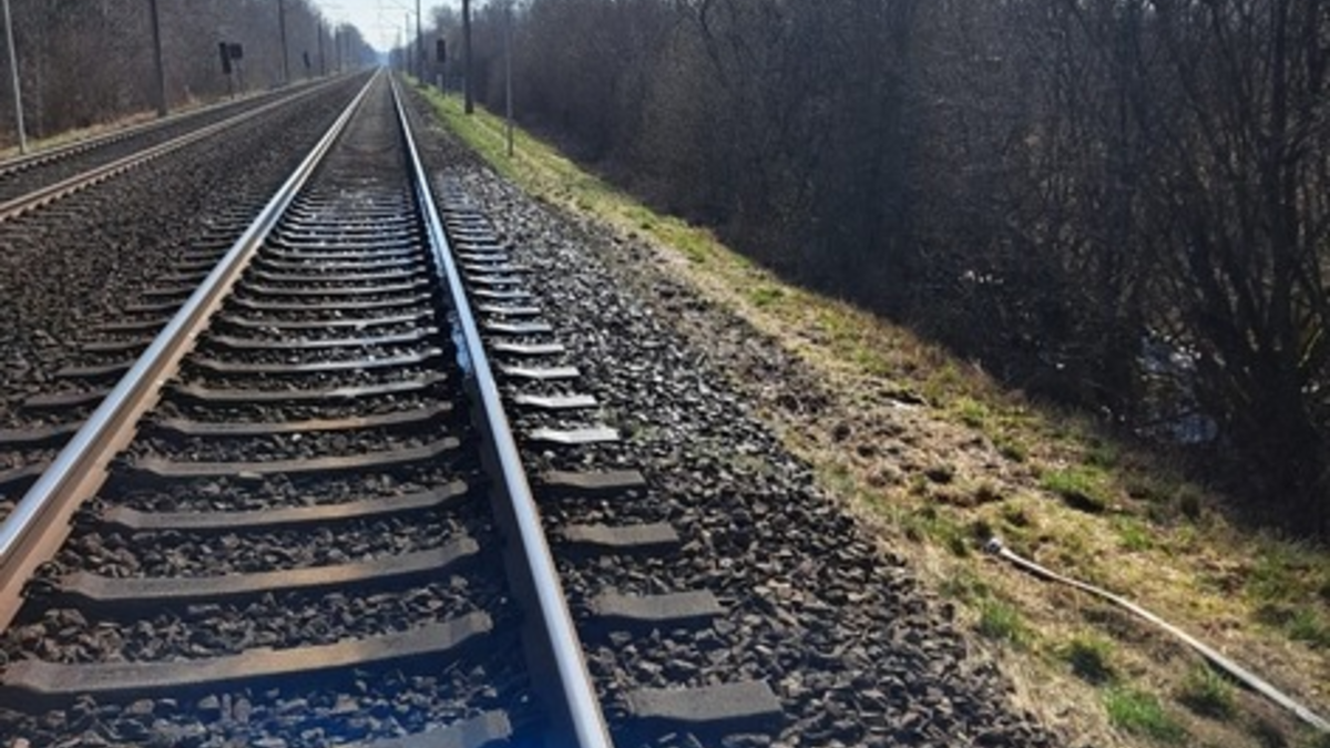 BPOL-FL: Böschungsbrände sorgen für Sperrung der Bahnstrecke - Foto: presseportal.de