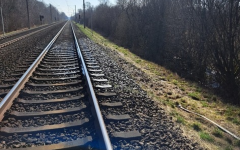 BPOL-FL: Böschungsbrände sorgen für Sperrung der Bahnstrecke - Foto: presseportal.de