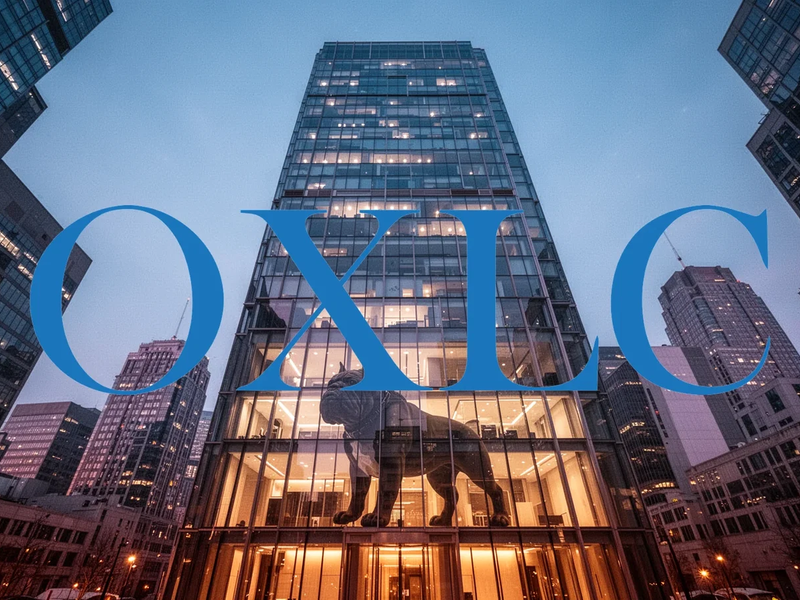 Oxford Lane Capital Aktie: Bulldog Investors steigt ein - Foto: über boerse-global.de