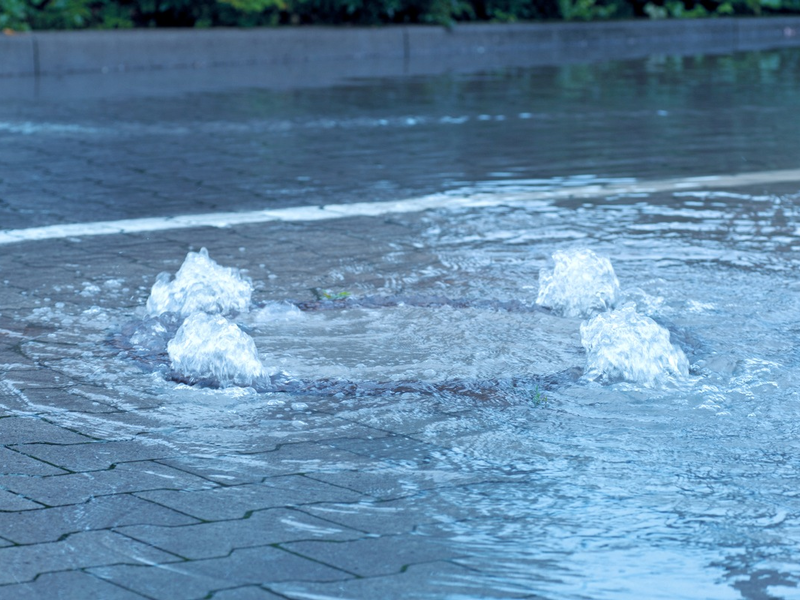Weltwassertag 2026: Grüner Plan fürs Wasser - Foto: presseportal.de