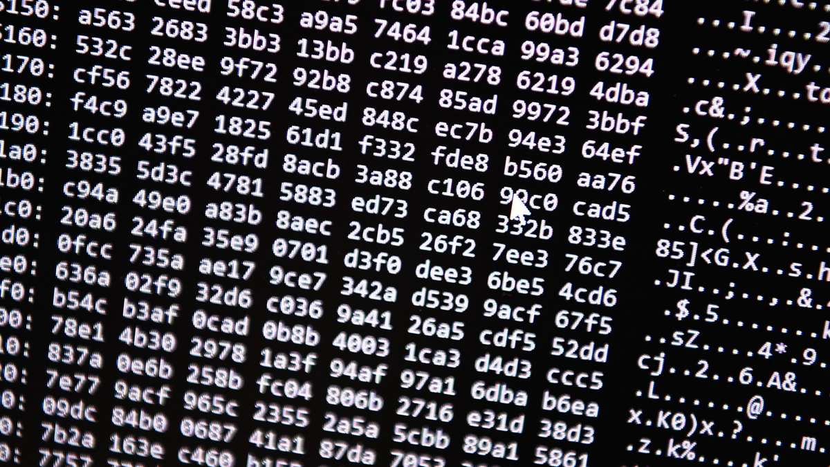 Neue Tools ermöglichten einen Schlag gegen ein Betrugs-Netzwerk im Darknet. (Symbolbild) - Foto: Nicolas Armer/dpa