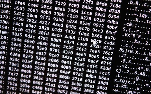 Neue Tools ermöglichten einen Schlag gegen ein Betrugs-Netzwerk im Darknet. (Symbolbild) - Foto: Nicolas Armer/dpa Neue Tools ermöglichten einen Schlag gegen ein Betrugs-Netzwerk im Darknet. (Symbolbild) - Foto: Nicolas Armer/dpa