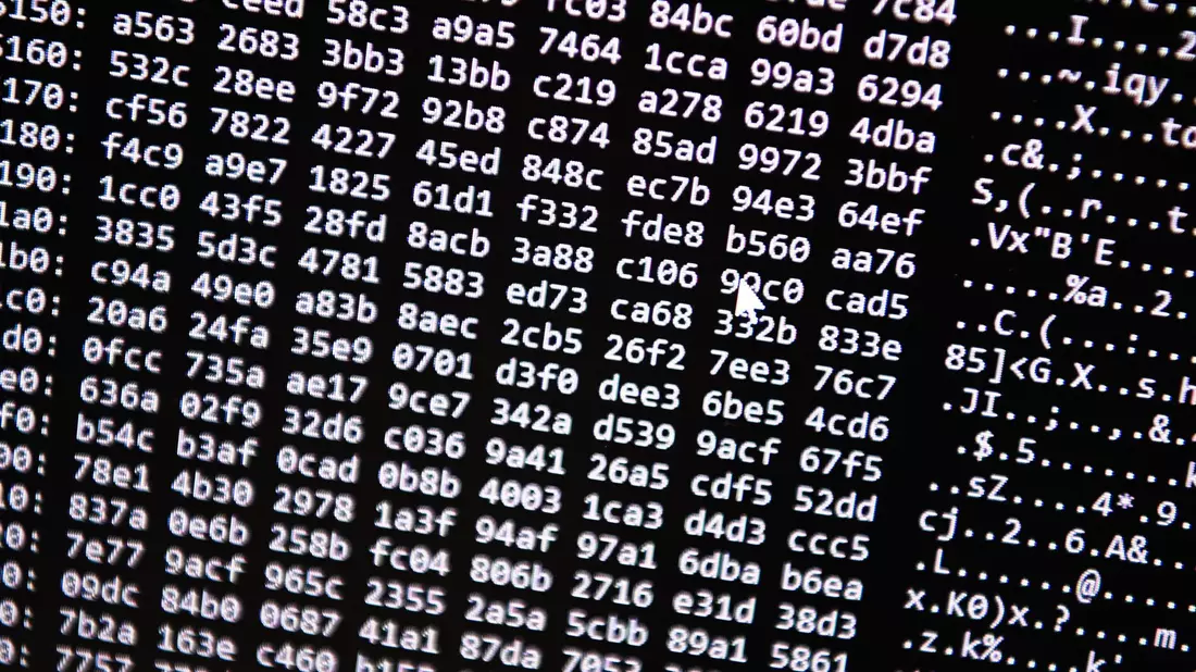 Neue Tools ermöglichten einen Schlag gegen ein Betrugs-Netzwerk im Darknet. (Symbolbild) - Bild: Nicolas Armer/dpa