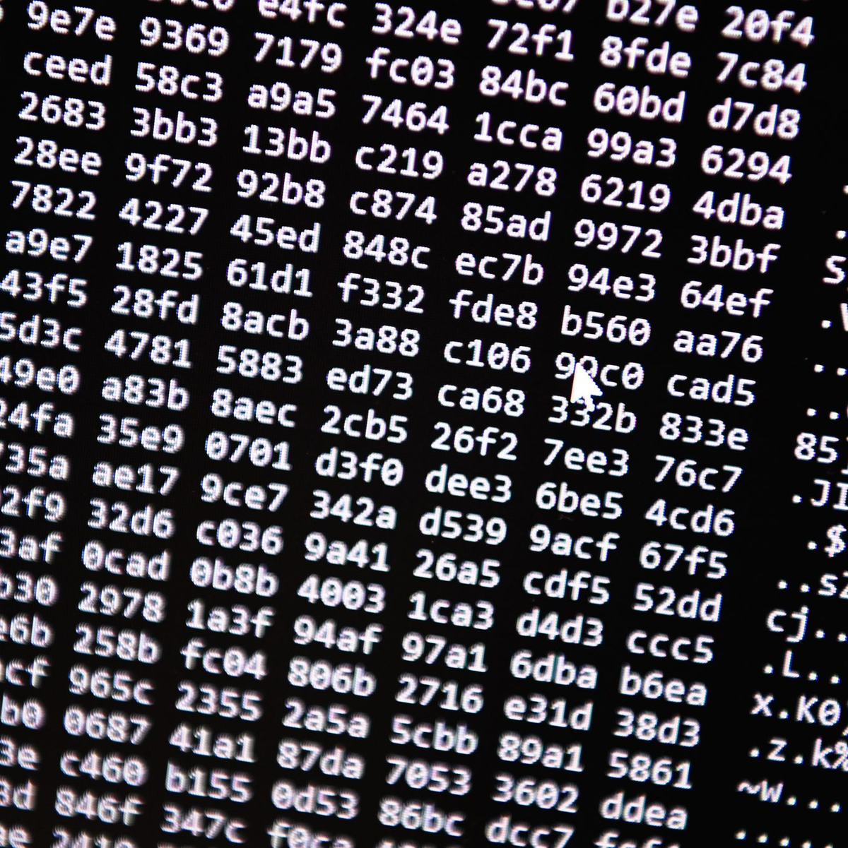 Neue Tools ermöglichten einen Schlag gegen ein Betrugs-Netzwerk im Darknet. (Symbolbild) - Foto: Nicolas Armer/dpa