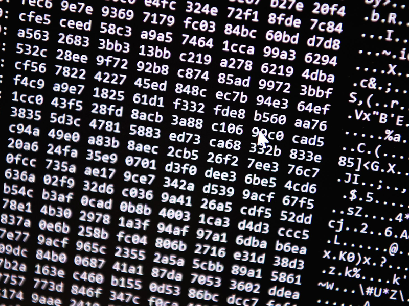 Neue Tools ermöglichten einen Schlag gegen ein Betrugs-Netzwerk im Darknet. (Symbolbild) - Foto: Nicolas Armer/dpa