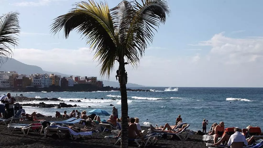 Palme an einem Strand (Archiv) - Bild: via dts Nachrichtenagentur