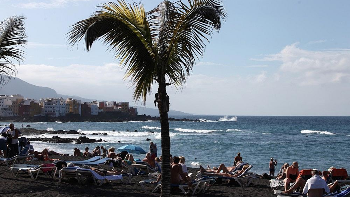Palme an einem Strand (Archiv) - Foto: via dts Nachrichtenagentur