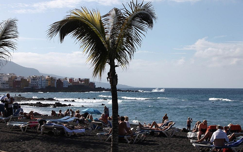 Palme an einem Strand (Archiv) - Foto: via dts Nachrichtenagentur