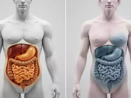 Diabetes-Gesellschaft: Männer und Frauen erkranken fundamental anders - Foto: über boerse-global.de