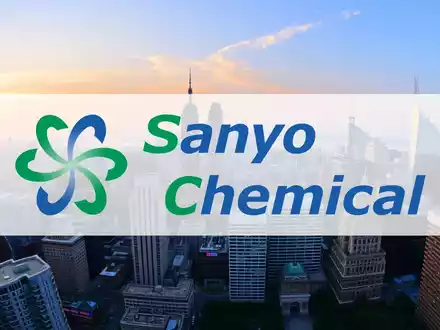 Sanyo Chemical Aktie: Strategischer Umbruch - Foto: über boerse-global.de