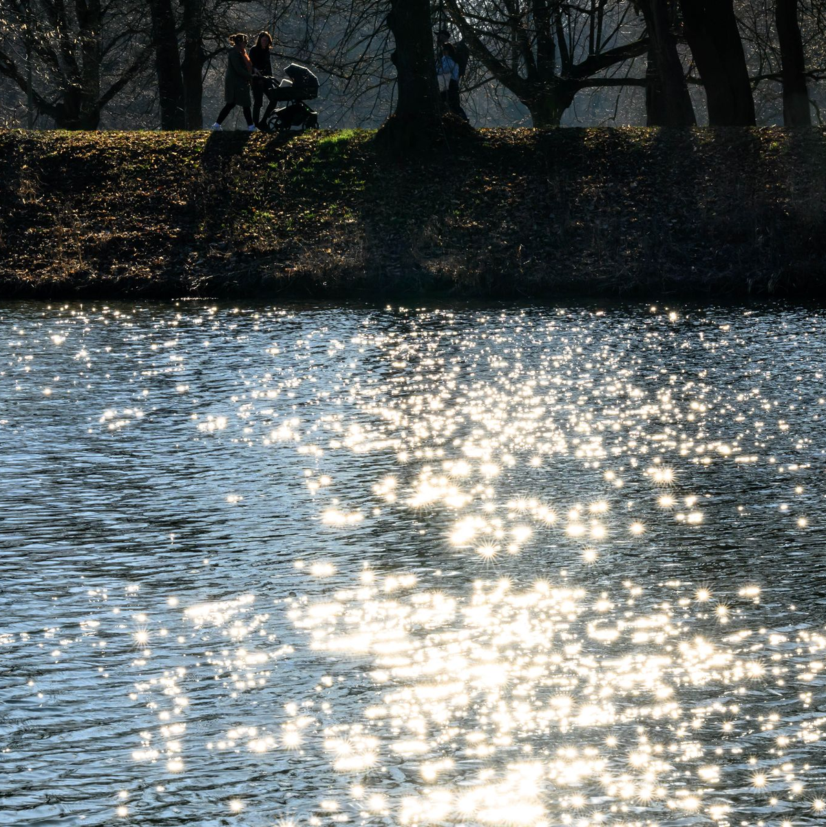 Wasser ist lebenswichtig für Menschen, Tiere und Kleinstorganismen. (Archivbild) - Foto: Hendrik Schmidt/dpa