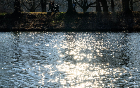Wasser ist lebenswichtig für Menschen, Tiere und Kleinstorganismen. (Archivbild) - Foto: Hendrik Schmidt/dpa