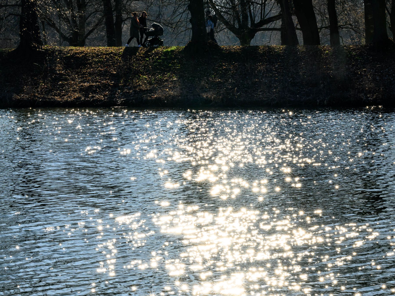 Wasser ist lebenswichtig für Menschen, Tiere und Kleinstorganismen. (Archivbild) - Foto: Hendrik Schmidt/dpa