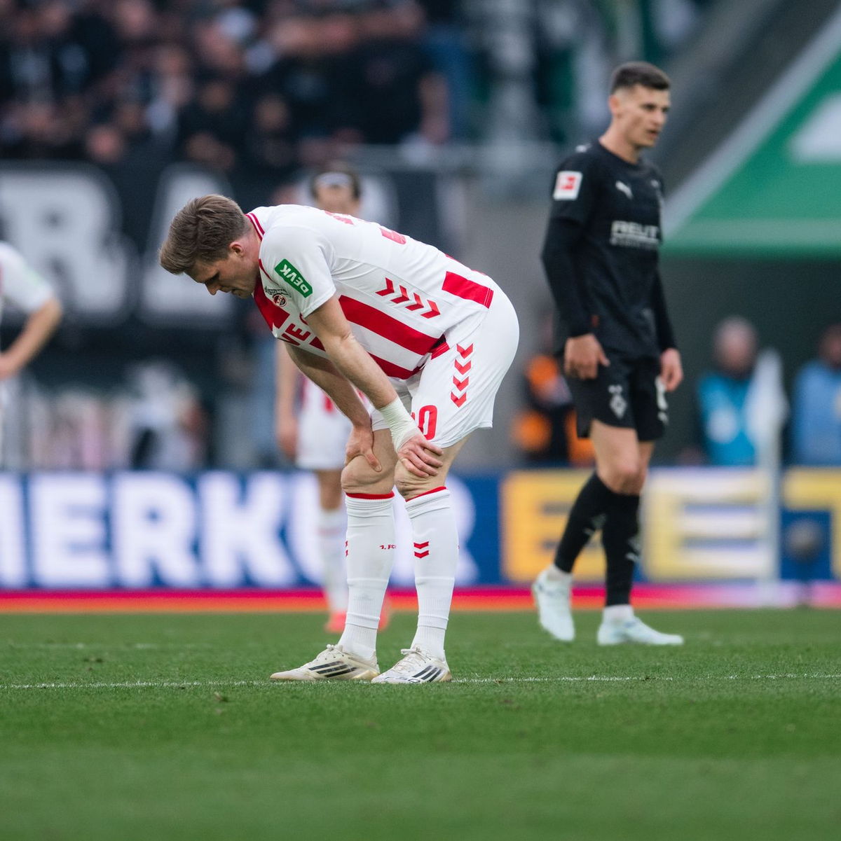 Der 1. FC Köln steckt in der Krise. - Foto: Marius Becker/dpa