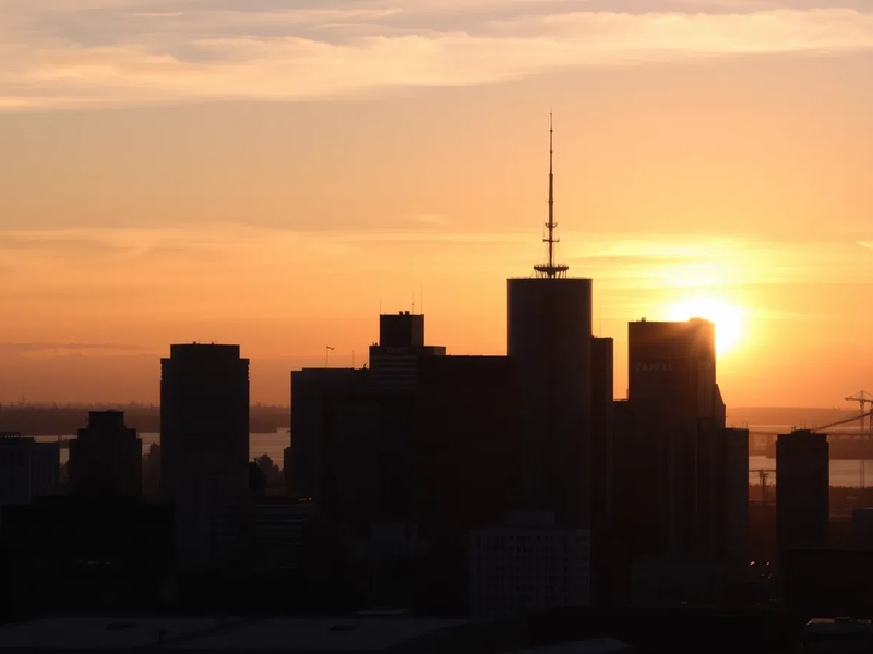 Imperial Ginseng Aktie: Radikaler Umbruch - Foto: über boerse-global.de