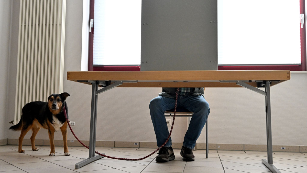 Wahltag in Rheinland-Pfalz: Stellt erstmals seit 35 Jahren eine andere Partei als die SPD den Regierungschef? - Foto: Harald Tittel/dpa