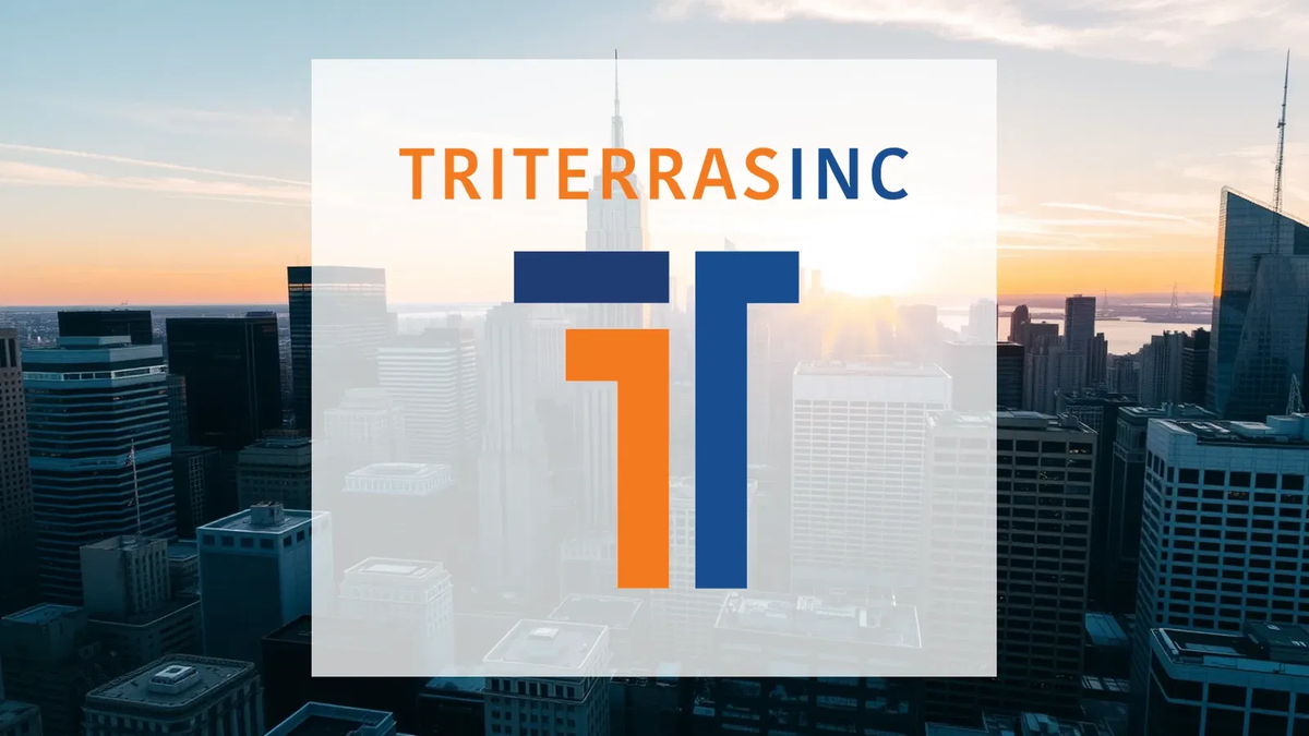 Triterras Aktie: Vertrauensfrage am OTC-Markt - Foto: über boerse-global.de