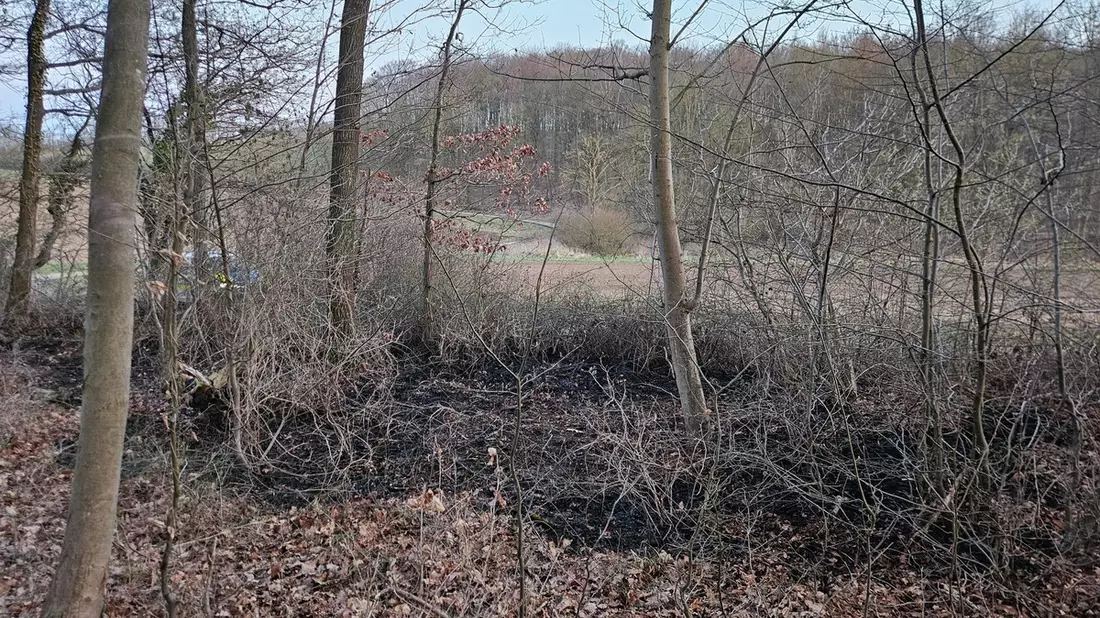 POL-HI: Waldrand gerät in Brand - Zeugenaufruf - Bild: presseportal.de