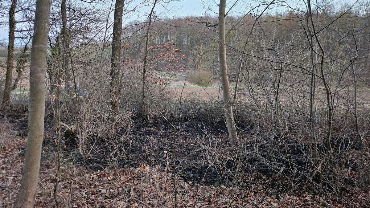 POL-HI: Waldrand gerät in Brand - Zeugenaufruf - Foto: presseportal.de
