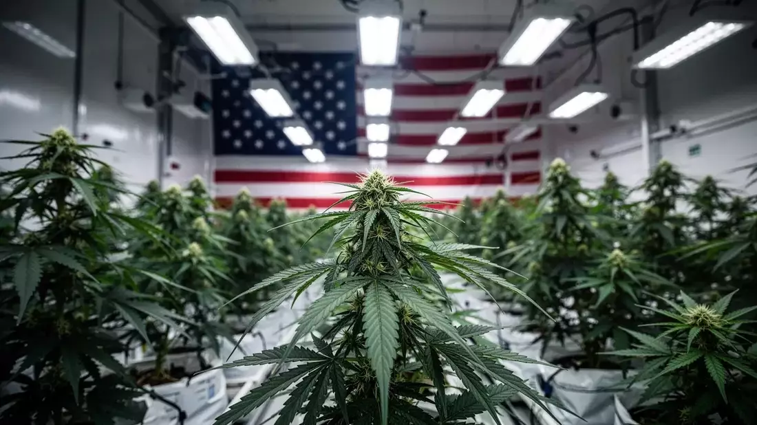 Canopy Growth Aktie: US-Steuerreform im Fokus - Bild: über boerse-global.de