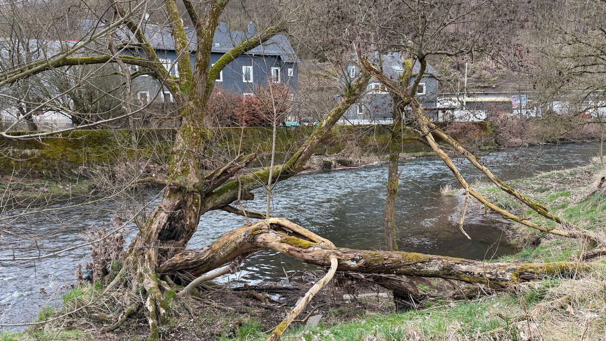 Das Kind war im Wasser der Sieg treibend aufgefunden worden - nun ist es gestorben. (Archivbild) - Foto: Berthold Stamm/dpa