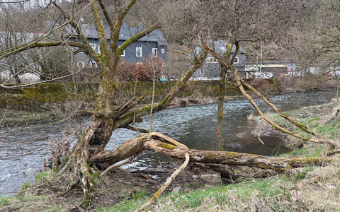 Das Kind war im Wasser der Sieg treibend aufgefunden worden - nun ist es gestorben. (Archivbild) - Foto: Berthold Stamm/dpa Das Kind war im Wasser der Sieg treibend aufgefunden worden - nun ist es gestorben. (Archivbild) - Foto: Berthold Stamm/dpa