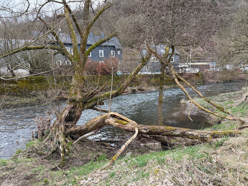 Das Kind war im Wasser der Sieg treibend aufgefunden worden - nun ist es gestorben. (Archivbild) - Foto: Berthold Stamm/dpa