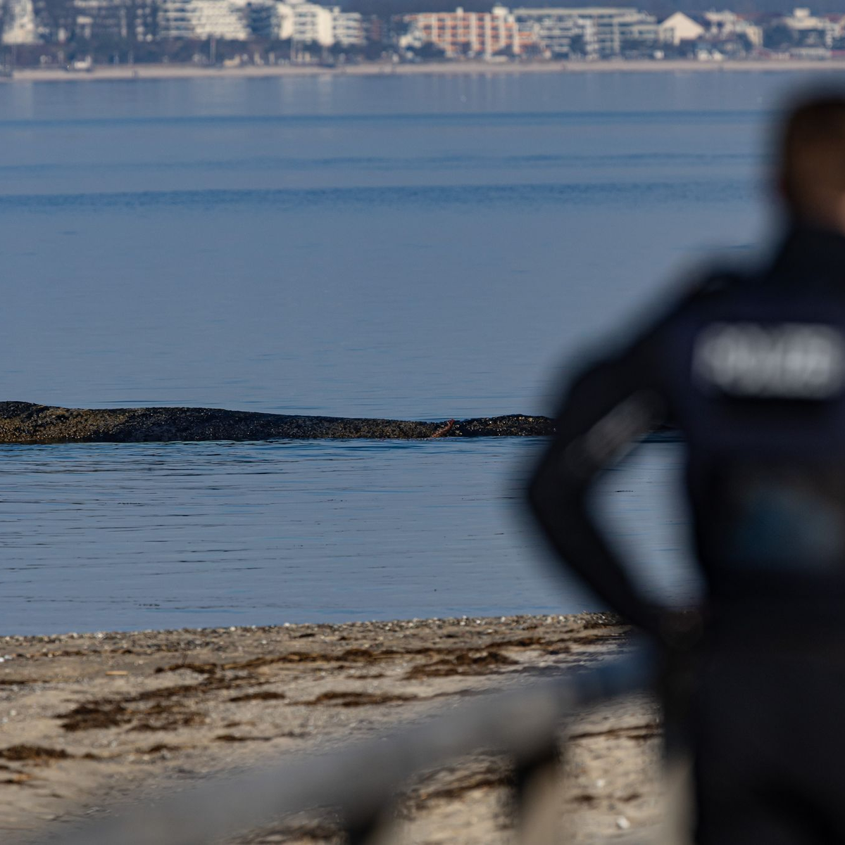Das Tier wurde in der Nacht zum Montag laut Polizei im Wasser vor dem Ortsteil Niendorf in Timmendorfer Strand entdeckt. - Foto: Ulrich Perrey/dpa