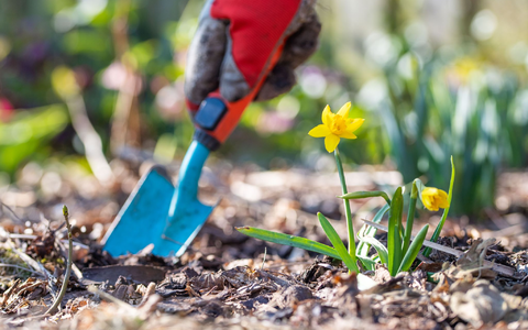 Jetzt ist Zeit für Gartenarbeit. (Symbolbild) - Foto: Lino Mirgeler/dpa
