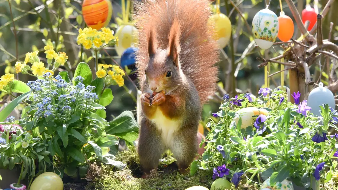 Ostern steht vor der Tür. (Archivbild) - Bild: Waltraud Grubitzsch/dpa