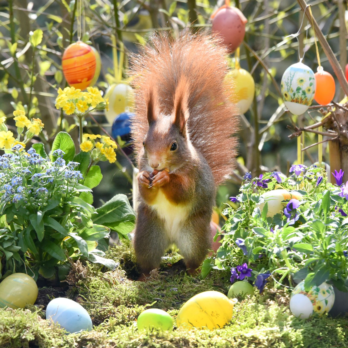 Ostern steht vor der Tür. (Archivbild) - Foto: Waltraud Grubitzsch/dpa