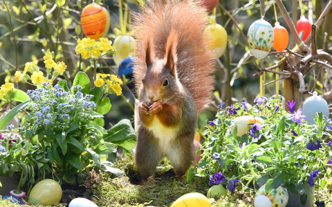 Ostern steht vor der Tür. (Archivbild) - Foto: Waltraud Grubitzsch/dpa
