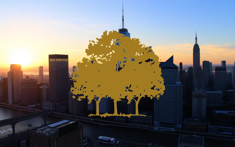Canopy Growth's Strategic Acquisition Paves Path to Profitability - Foto: über boerse-global.de