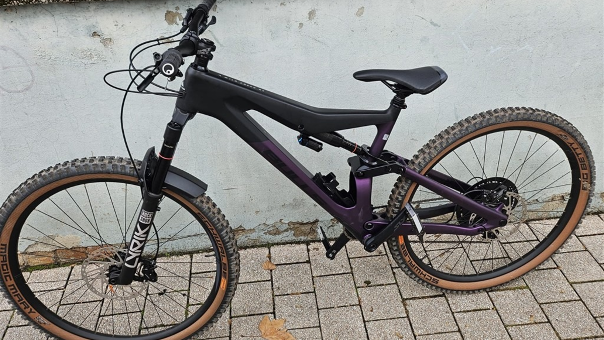 POL-PDLU: Speyer - Diebstahl eines hochwertigen Fahrrads - Zeugen gesucht - Foto: presseportal.de