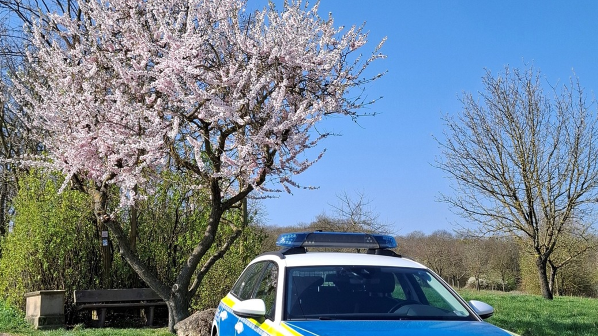 POL-PDNW: Autofahrer unter Drogeneinfluss - Foto: presseportal.de
