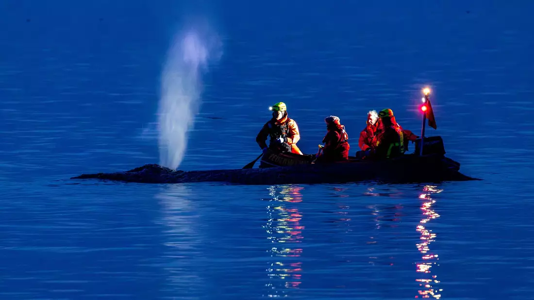 Die Rettung des großen Wals ist laut Experten nicht leicht - es könne auch sein, dass das Tier trotz Rettung wieder strande oder verende. - Bild: Jens Büttner/dpa